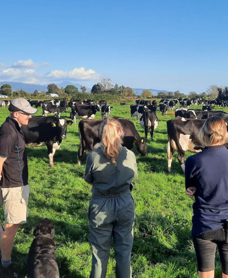 Setting Up Reproductive Success Before Calving