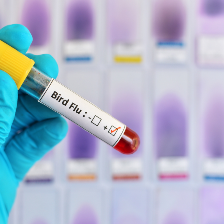 What you need to know about Avian Influenza (H5N1 bird flu)