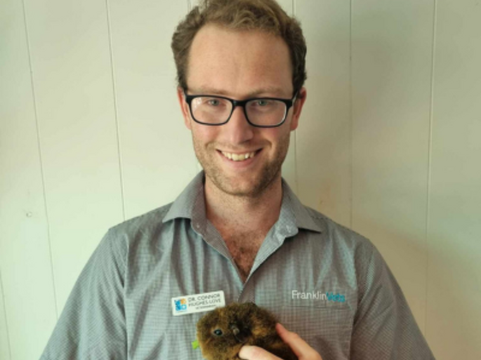 Dr Connor Hughes-Love BVSc (Dist.)