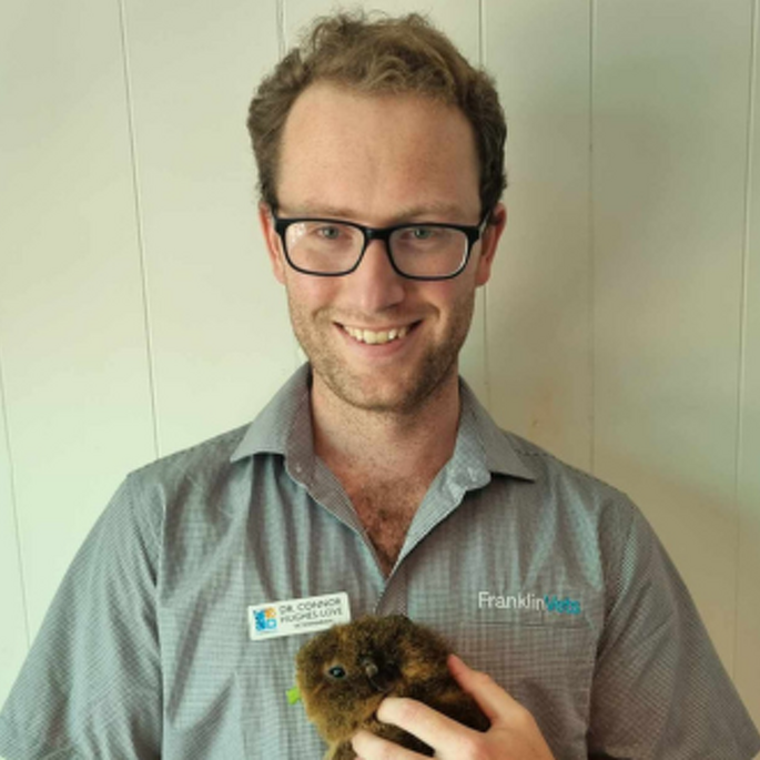 Dr Connor Hughes-Love BVSc (Dist.)