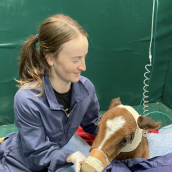 Dr Georgina Llewellyn BVSc