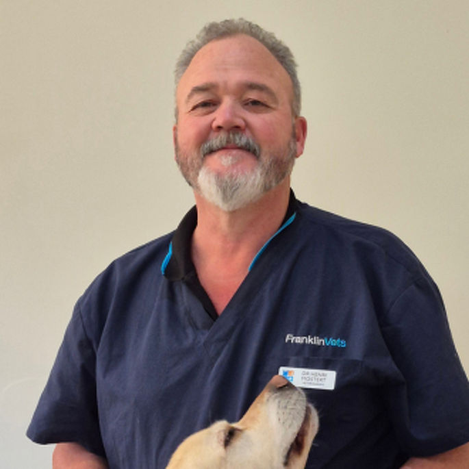 Dr Henri Mostert BVSc