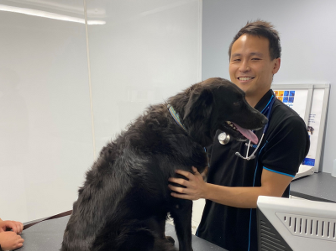 Dr Matt Wong BVSc