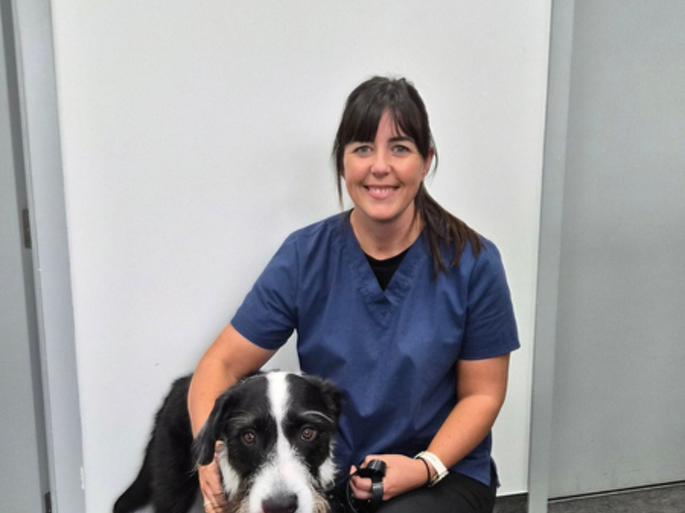Dr Sophie Dunn BVSc MVM(Dist) MANZCVS (Small Animal Surgery)