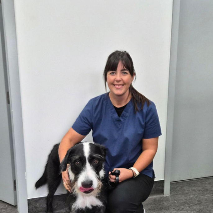 Dr Sophie Dunn BVSc MVM(Dist) MANZCVS (Small Animal Surgery)