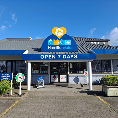 Hamilton Small Animal Veterinary Centre