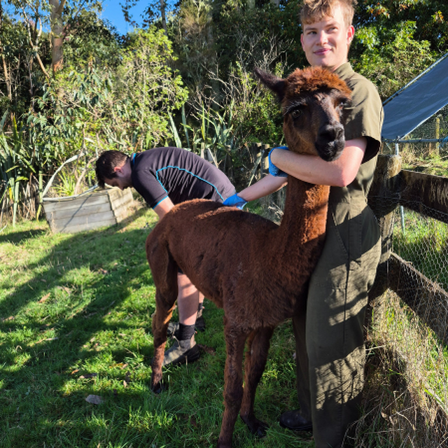 Lifestyle Farm Update April 2026