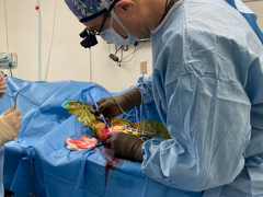 Advanced Surgery Pukekohe