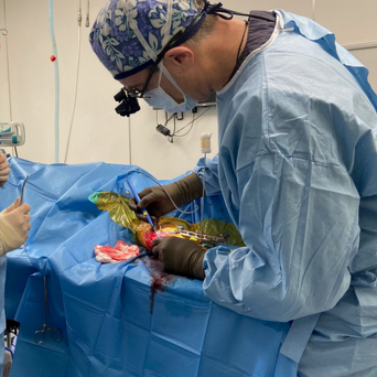 Advanced Surgery Pukekohe