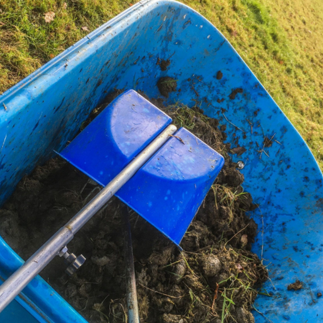 Equine Parasite Control: The Role of Faecal Egg Counts (FEC) 