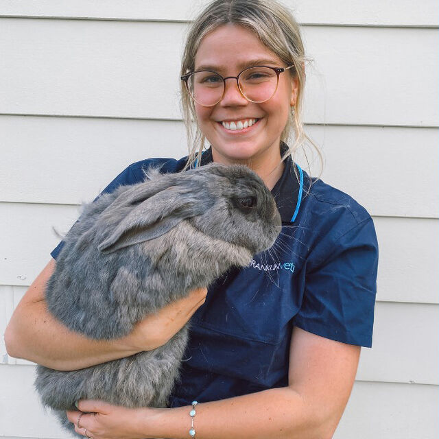 Pet Newsletter March 2025