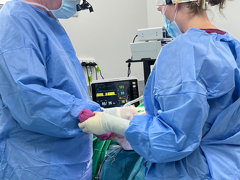 Veterinary Referral Services (VRS)