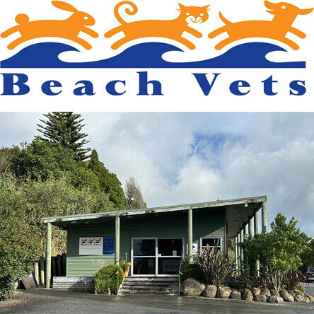 Pet Newsletter June 2025
