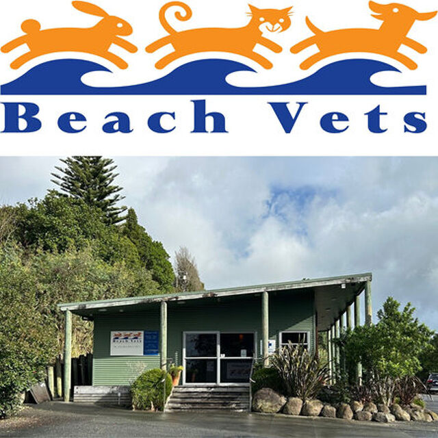 Pet Newsletter June 2025